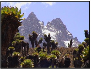 Mt. Oberschall, a geologic anomaly in Septura District.